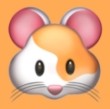 看片软件APPAPP应用